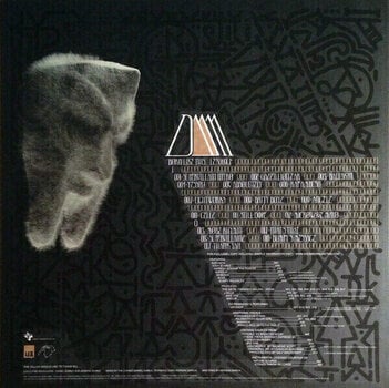 Vinyylilevy MF Doom Born Like This (2 LP) - 8