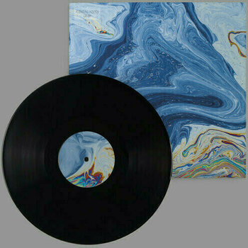 Vinyl Record Floating Points - Crush (LP) - 2