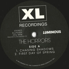 LP ploča The Horrors -  Luminous (Deluxe Edition) (2 LP) - 2