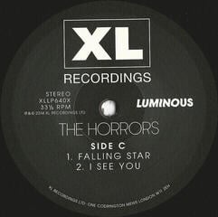 LP ploča The Horrors -  Luminous (Deluxe Edition) (2 LP) - 4
