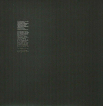 Vinyl Record Horrors - Luminous (2 LP) - 9