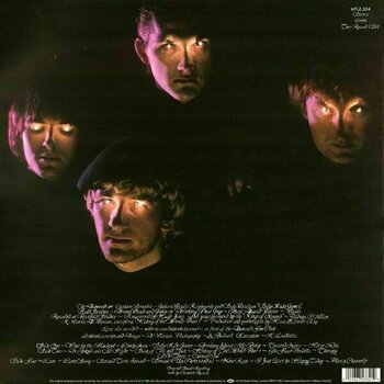Vinyl Record The Damned - The Black Album (LP) - 2