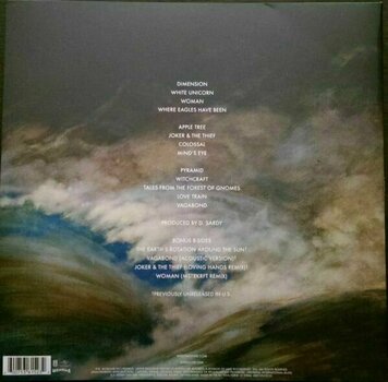 Vinylplade Wolfmother - Wolfmother (2 LP) - 7