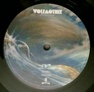 Vinyylilevy Wolfmother - Wolfmother (2 LP) - 3