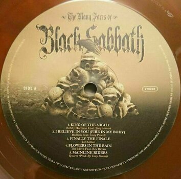 Schallplatte Various Artists - The Many Faces Of Black Sabbath (A Journey Through The Inner World Of B.S) (2 LP) - 4