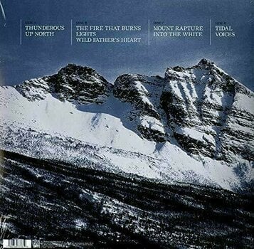 Vinyl Record Borknagar True North (Gatefold Sleeve) (2 LP) - 2