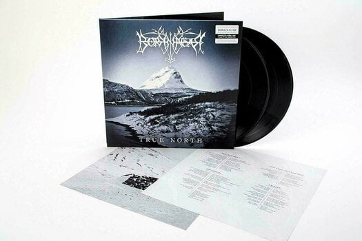 Vinyl Record Borknagar True North (Gatefold Sleeve) (2 LP) - 3