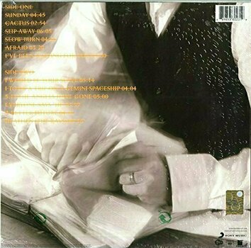 Vinyl Record David Bowie Heathen (LP) - 6