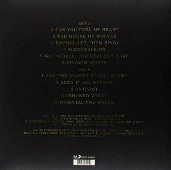 Vinylplade Bring Me The Horizon Sempiternal (LP) - 3