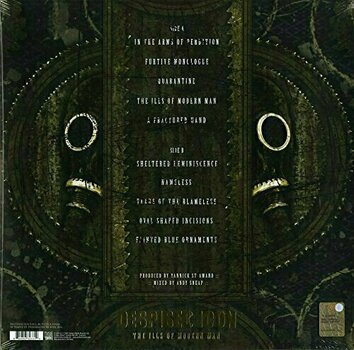 Płyta winylowa Despised Icon Ills of Modern Man (Reissue) (Vinyl LP) - 2