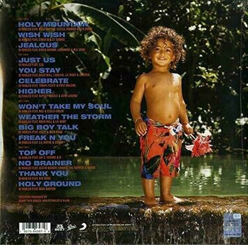 Vinyl Record DJ Khaled Father of Asahd (2 LP) - 2