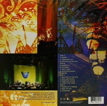 Vinyl Record Foo Fighters Skin & Bones (2 LP) - 2