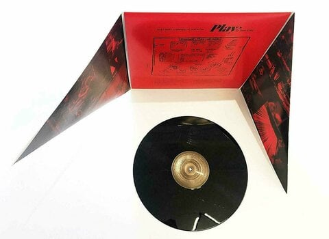 Δίσκος LP Dave Grohl Play (LP) - 4
