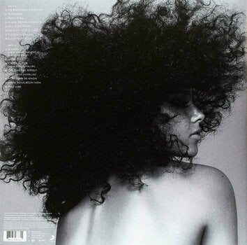 Vinyylilevy Alicia Keys - Here (LP) - 2