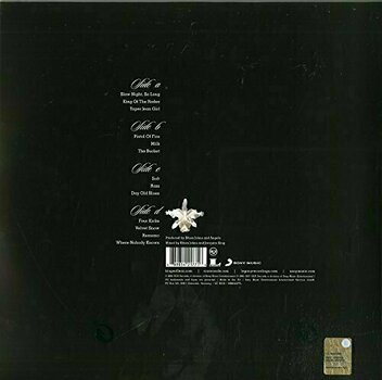 Δίσκος LP Kings of Leon Aha Shake Heartbreak (2 LP) - 2