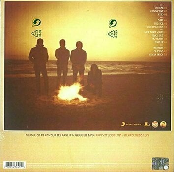 LP ploča Kings of Leon Come Around Sundown (2 LP) - 2