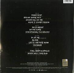 Грамофонна плоча Korn - Take a Look In the Mirror (Reissue) (2 LP) - 6