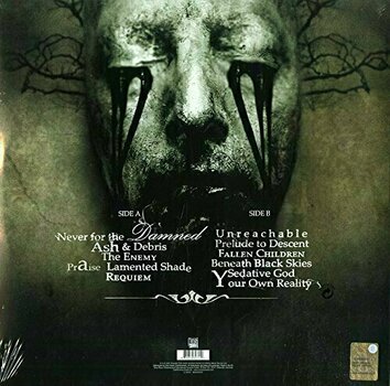 Vinyylilevy Paradise Lost In Requiem (2 LP) - 2