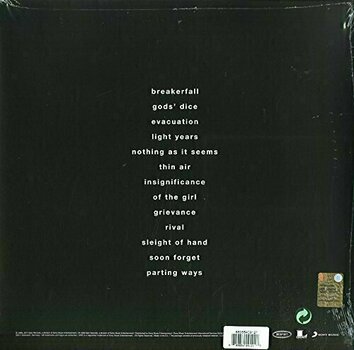 Vinyl Record Pearl Jam Binaural (2 LP) - 2