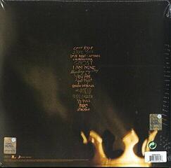 Грамофонна плоча Pearl Jam - Riot Act (Reissue) (2 LP) - 2