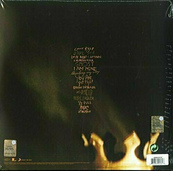 LP deska Pearl Jam Riot Act (2 LP) - 2