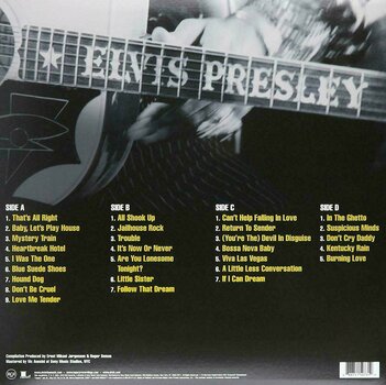Vinyl Record Elvis Presley Essential Elvis Presley (2 LP) - 2