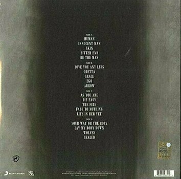 Vinyylilevy Rag'n'Bone Man - Human (Deluxe Edition) (2 LP) - 2