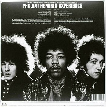 Disque vinyle The Jimi Hendrix Experience - Are You Experienced (Mono) (LP) - 2
