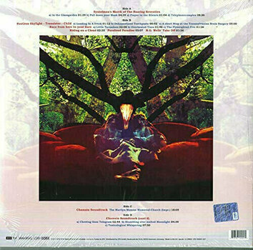 LP deska Amon Duul II - Tanz Der Lemminge (2 LP) - 6