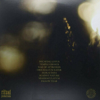 Vinyl Record Ancient Lights - Ancient Lights (2 LP) - 2
