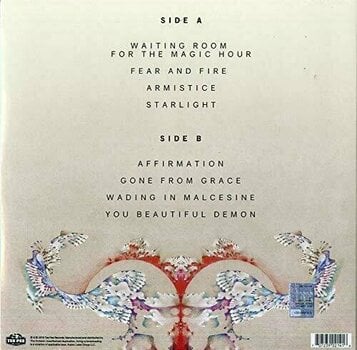 Vinyl Record Sacri Monti - Waiting Room For The Magic Hour (LP) - 2