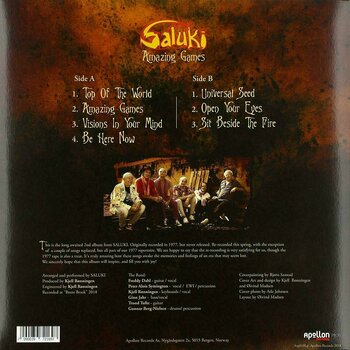 Vinylskiva Saluki - Amazing Games (LP) - 2