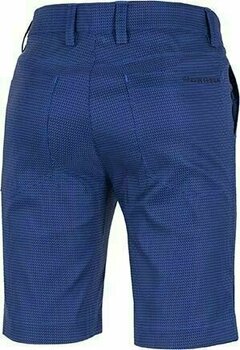 Pantalones cortos Galvin Green Paco Ventil8 Surf Blue/Black 38 - 2