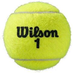 Tenisový míček Wilson Roland Garros All Court Tenisový míček 4 - 2