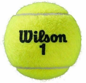 Tenisové loptičky Wilson Roland Garros All Court Tenisová loptička 4 - 3