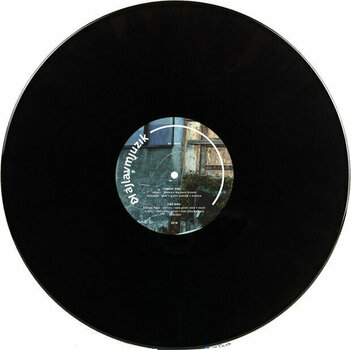 Disco de vinil Pkrek - +- (LP) - 3