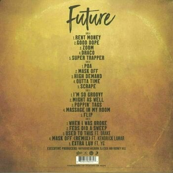 Vinyylilevy Future Future (2 LP) - 2