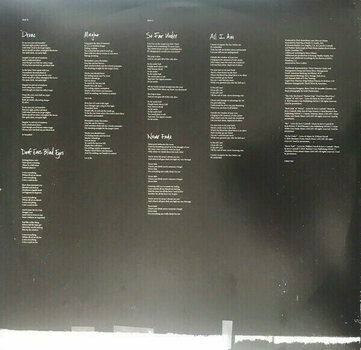 Vinylskiva Alice in Chains - Rainier Fog (2 LP) - 6