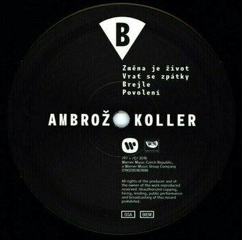 Vinyl Record Michal Ambrož & David Koller - Srdecni Pribeh (LP) - 5
