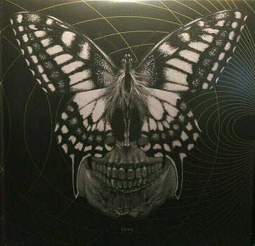 Δίσκος LP Baroness - Gold & Grey (Indie Exclusive) (Coloured) (2 LP) - 9