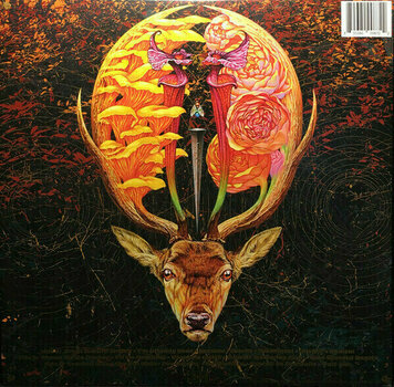 Płyta winylowa Baroness - Gold & Grey (Indie Exclusive) (Coloured) (2 LP) - 10