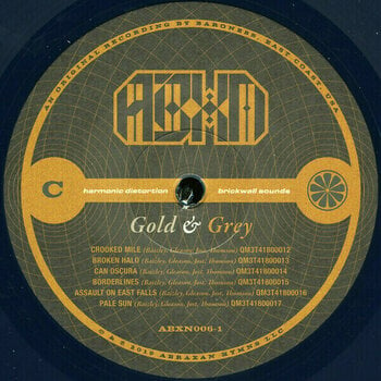 Vinyl Record Baroness - Gold & Grey (Indie Exclusive) (Coloured) (2 LP) - 11