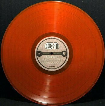 Vinyl Record Baroness - Gold & Grey (Indie Exclusive) (Coloured) (2 LP) - 3