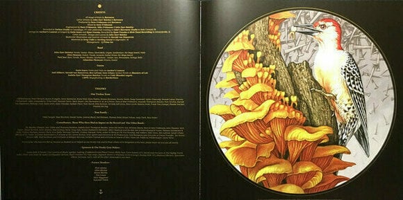 Disco de vinilo Baroness - Gold & Grey (Indie Exclusive) (Coloured) (2 LP) - 24