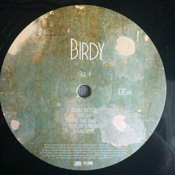 Hanglemez Birdy - Birdy (LP) - 6