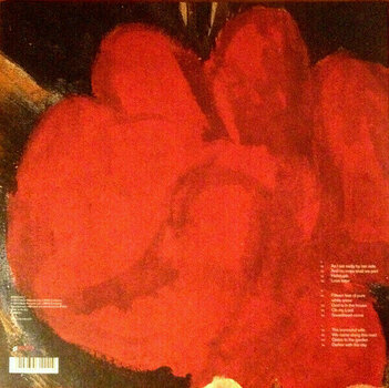 Δίσκος LP Nick Cave & The Bad Seeds - No More Shall We Part (LP) - 3