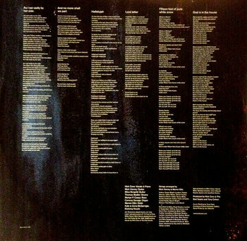 LP Nick Cave & The Bad Seeds - No More Shall We Part (LP) - 4