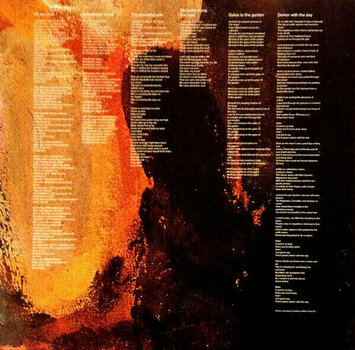 Schallplatte Nick Cave & The Bad Seeds - No More Shall We Part (LP) - 5