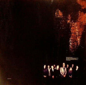 Δίσκος LP Nick Cave & The Bad Seeds - No More Shall We Part (LP) - 7