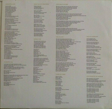 Disque vinyle Nick Cave & The Bad Seeds - Nocturama (LP) - 7